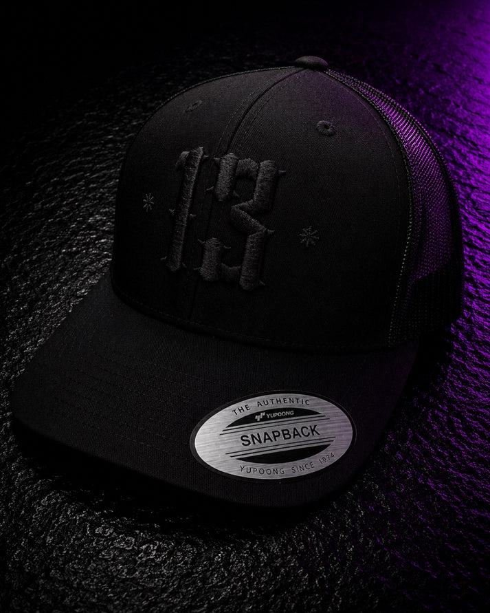 TG Retro Trucker 13 Snapback Cap - Black on black | Embroidered Caps ...